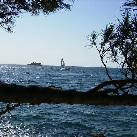 Apartments Carmelo Rovinj Exterior photo