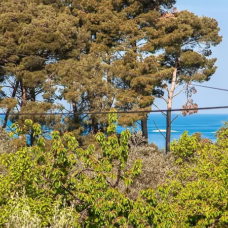 Apartments Carmelo Rovinj Exterior photo