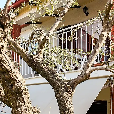 Apartments Carmelo Rovinj Exterior photo